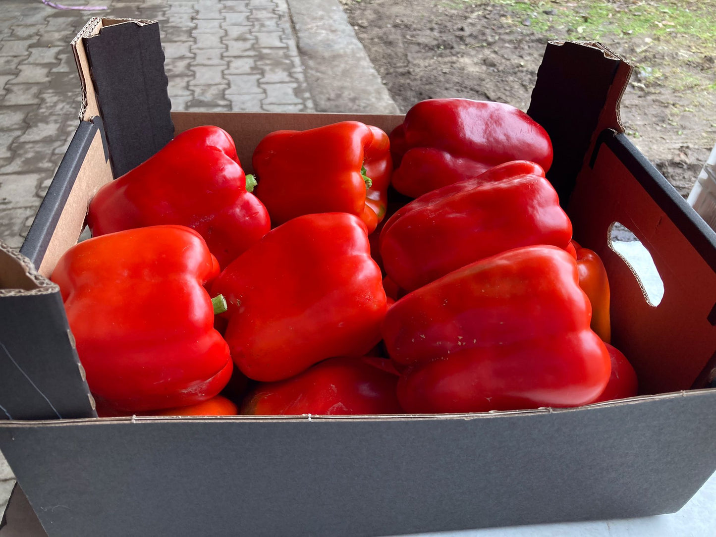 Rote Paprika in großen Mengen