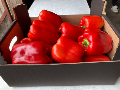 Bulk red pepper